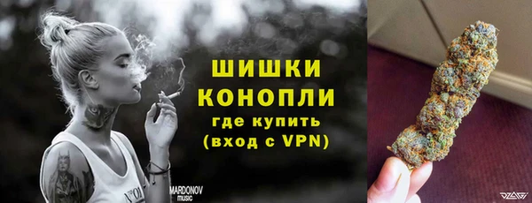 PSILOCYBIN Балабаново