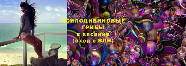 PSILOCYBIN Балабаново