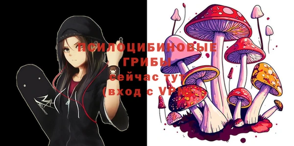 твердый Балахна