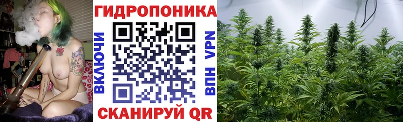 Шишки марихуана тримм  Горно-Алтайск 